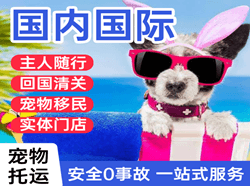长沙机场快递国际宠物托运 【国